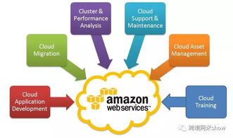 亞馬遜FBA Onsite 外國版菜鳥裹裹的致命誘惑與技術服務