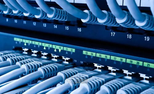 2025年結(jié)構(gòu)化布線市場(chǎng)規(guī)模展望 技術(shù)服務(wù)驅(qū)動(dòng)下的千億藍(lán)海